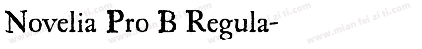 Novelia Pro B Regula字体转换